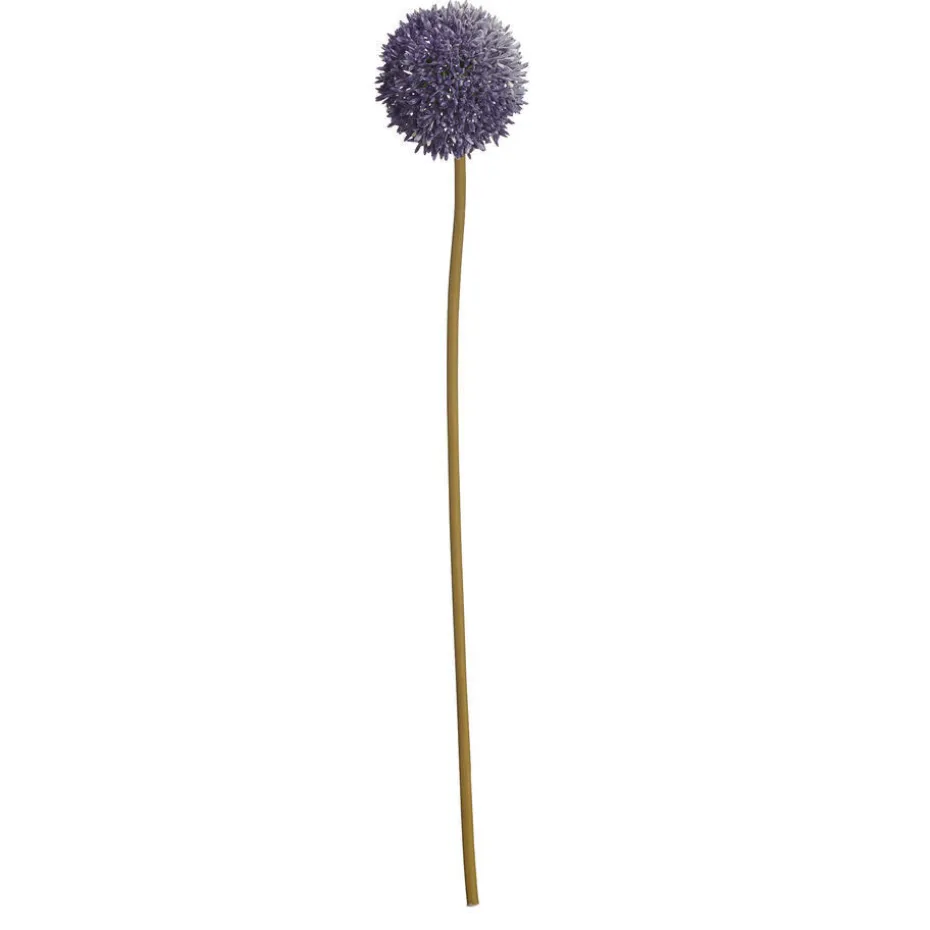 Bloem Allium Paars