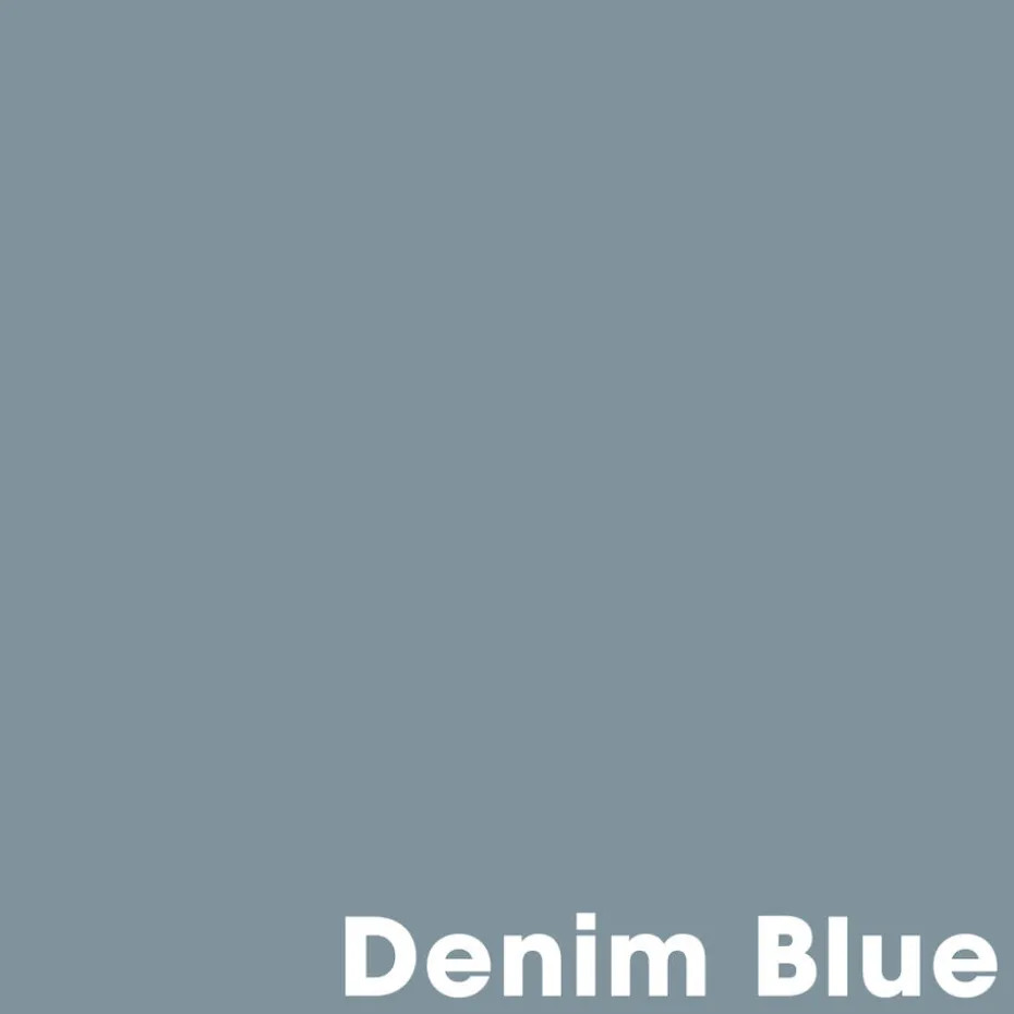 Muurverf Professional Denim Blue 2.5 L
